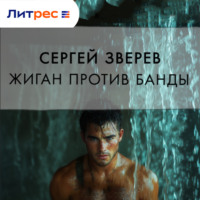 . Жиган против банды