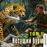 . Несущий бурю. Том I