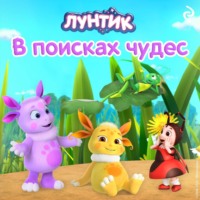 . Лунтик. В поисках чудес