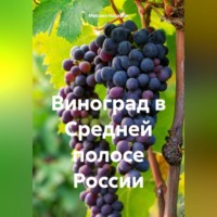 Михаил Назаров. Виноград