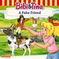 . Bibi and Tina, A Fake Friend