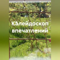 Светлана Юлина. Калейдоскоп впечатлений