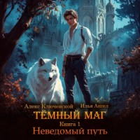 Алекс Ключевской (Лёха). Тёмный маг. Книга 1. Неведомый путь