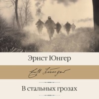. В стальных грозах