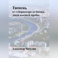Александр Владимирович Чичулин. Тюмень: от Губернатора до Бомжа
