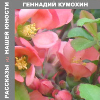 Геннадий Кумохин. Рассказы из нашей юности