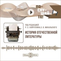 Группа авторов. История отечественной литературы