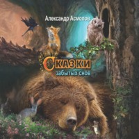 Александр Георгиевич Асмолов. Сказки забытых снов