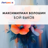 . Бой быков