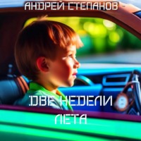 Андрей Валерьевич Степанов. Две недели лета