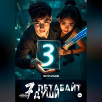 . 7 Петабайт души. 3 часть