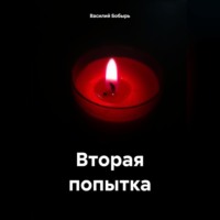 Василий Бобырь. Вторая попытка