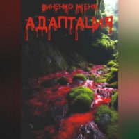 . Адаптация