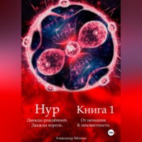 Александр Александрович Михеев. Нур. Дважды рождённый. Дважды король. Книга 1. От незнания. К неизвестности.