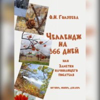 . ЧЕЛЛЕНДЖ НА 366 ДНЕЙ. Часть 4. Октябрь, ноябрь, декабрь.