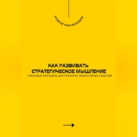 Андрей Миллиардов. Как развивать стратегическое мышление. Ключевые принципы для принятия эффективных решений