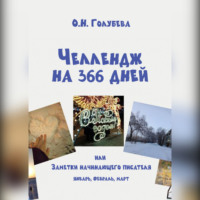 . ЧЕЛЛЕНДЖ НА 366 ДНЕЙ, или Заметки начинающего писателя Часть 1