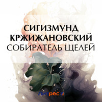 Сигизмунд Кржижановский. Собиратель щелей