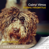 . Bukfenc mindent tud (teljes)