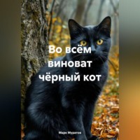 . во всём виноват чёрный кот
