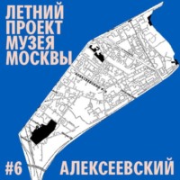 Татьяна Воронцова. Алексеевский район