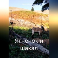 . Ягненок и шакал
