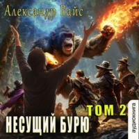 Александр Вайс. Несущий бурю. Том II