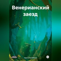 Никита Игоревич Кулебякин. Венерианский заезд