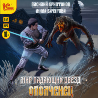 Мила Бачурова. Мир падающих звезд. Ополченец