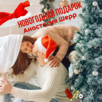 Анастасия Шерр. Новогодний подарок