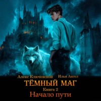 . Тёмный маг. Книга 2. Начало пути