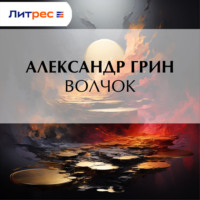 . Волчок