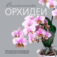 Елена Бачурина. Великолепные орхидеи. Практичное руководство по уходу для начинающих