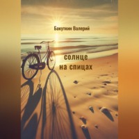 Валерий Бакуткин. Солнце на спицах