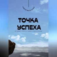 . Точка успеха. Как находить правильные решения в сложных ситуациях