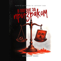 Владимир Анин. В погоне за призраком