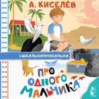 Александр Киселёв. Про Одного Мальчика