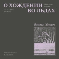 . О хождении во льдах