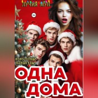 . Одна дома. Новогодние каникулы