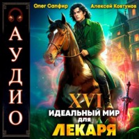 . Идеальный мир для Лекаря 16