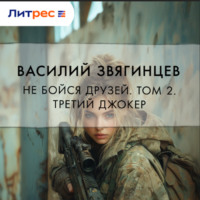 Василий Звягинцев. Не бойся друзей. Том 2. Третий джокер