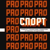 Станислав Гридасов. Гибель Валерия Харламова