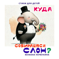 . Куда собирается слон?