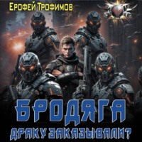 . Бродяга. Драку заказывали?