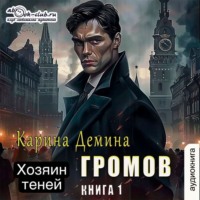 Карина Демина. Громов: Хозяин теней