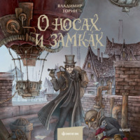 . О носах и замка́х