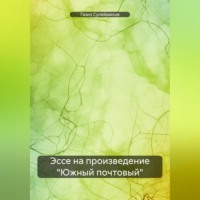 . Эссе на произведение «Южный почтовый»