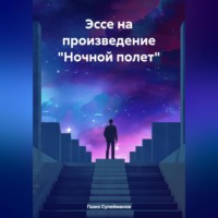 . Эссе на произведение «Ночной полет»