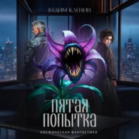 . Пятая попытка