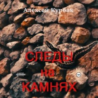 . Следы на камнях